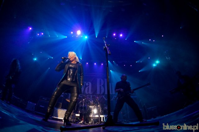 Heron Band (7)